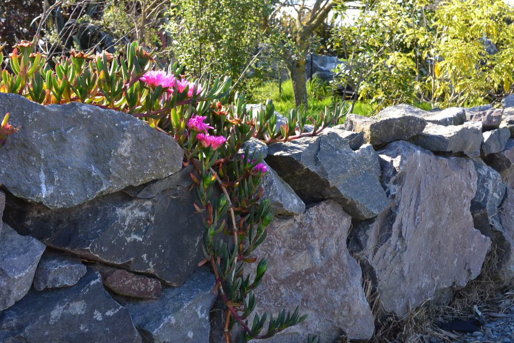 Rock-wall-dry-garden